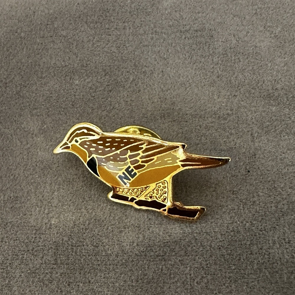 Nebraska State Bird Vintage Pin Western Meadowlark Souvenir Goldtone